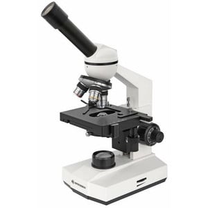 Basic Microscopes